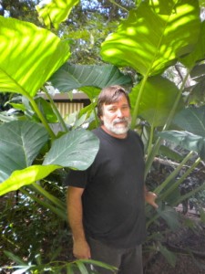 Michael bought it at a Maryborough meeting